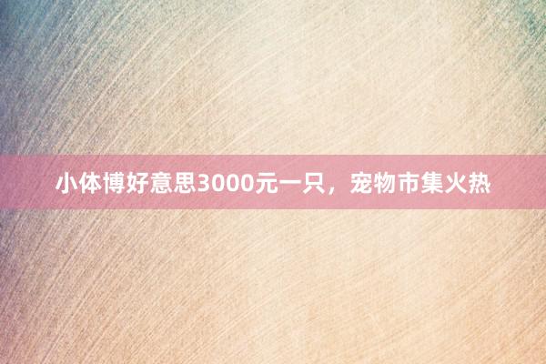 小体博好意思3000元一只，宠物市集火热
