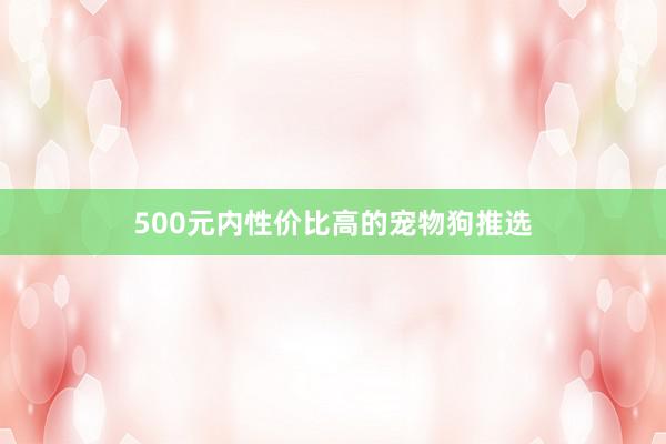 500元内性价比高的宠物狗推选